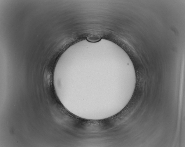 X0000111530123200908041312