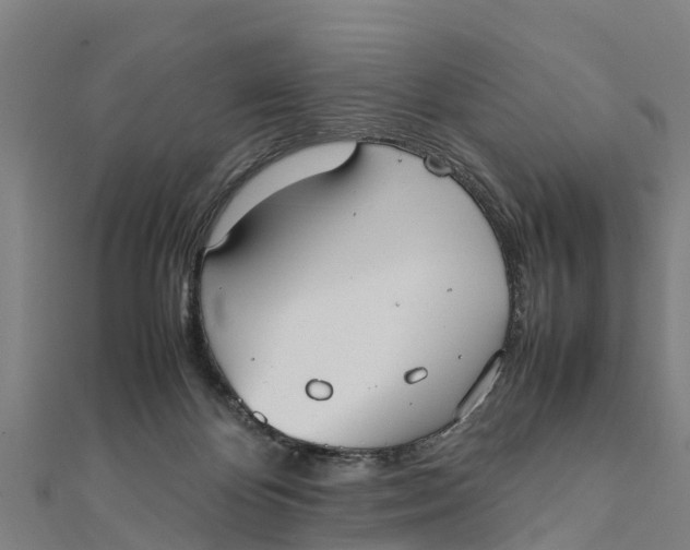 X0000111530124200908041312