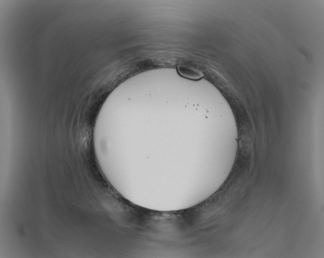 X0000111530125200908041312