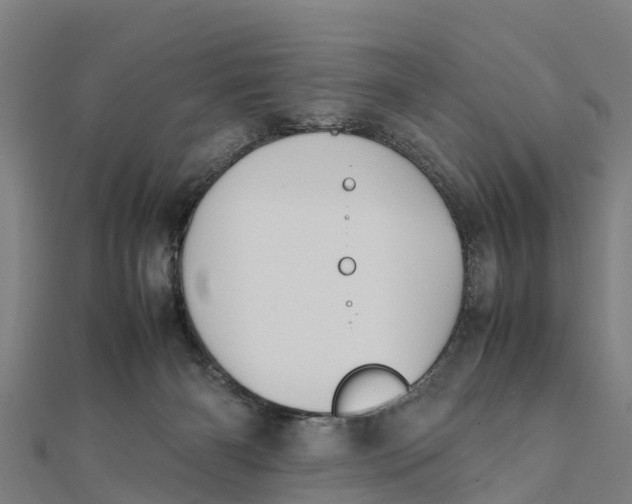 X0000111530126200908041312