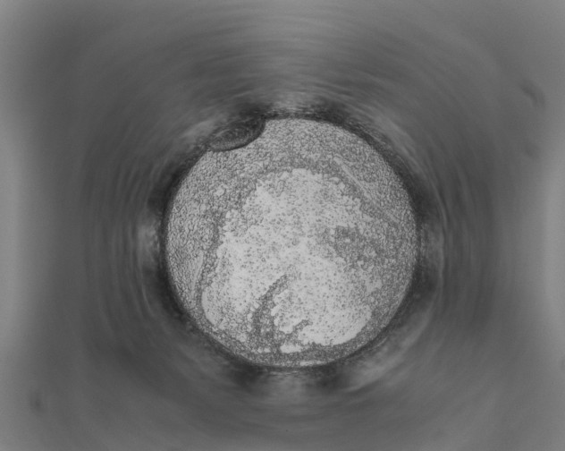 X0000111530127200908041312