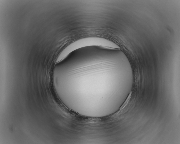 X0000111530128200908041312