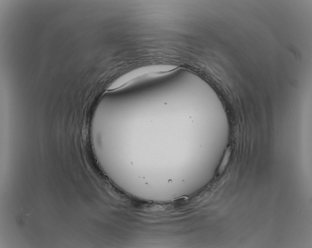 X0000111530129200908041312