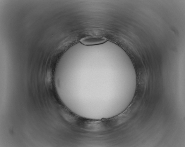 X0000111530132200908041312