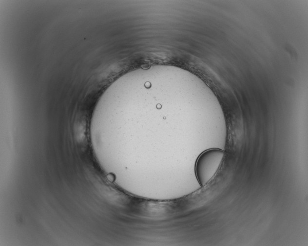 X0000111530134200908041312