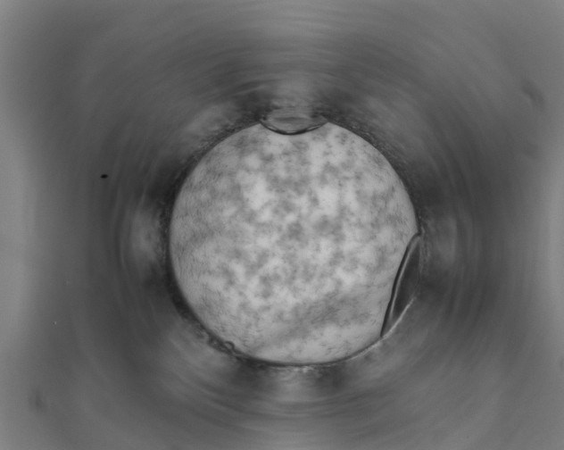 X0000111530136200908041312