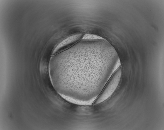 X0000111530137200908041312