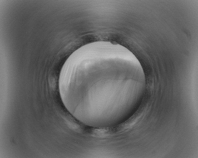 X0000111530139200908041312