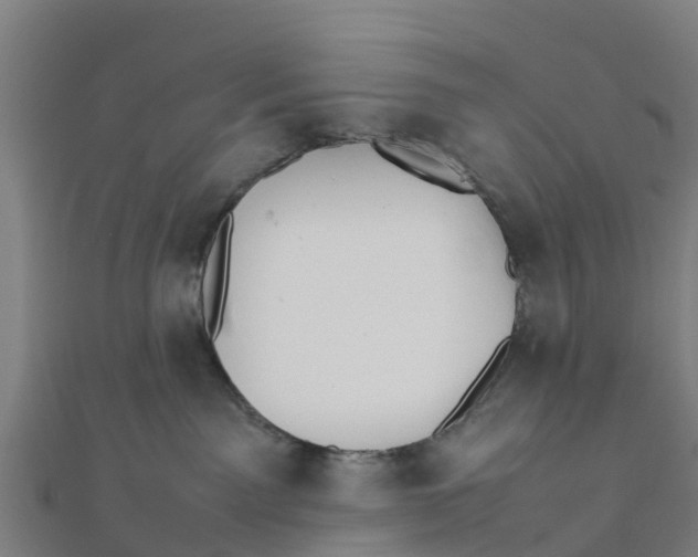 X0000111530141200908041312