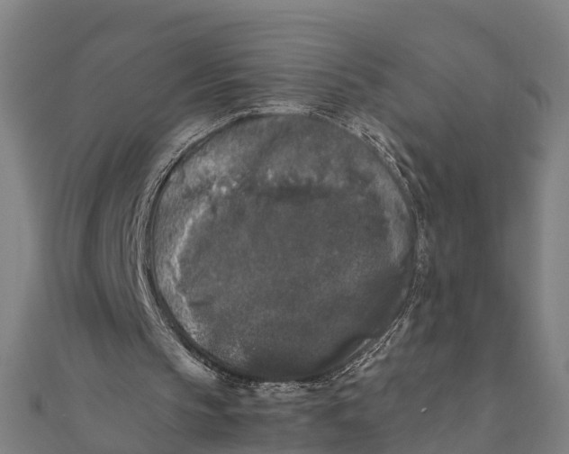 X0000111530145200908041311