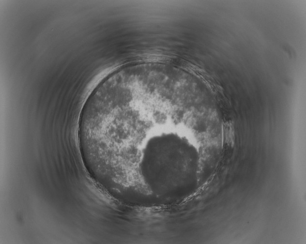 X0000111530147200908041311