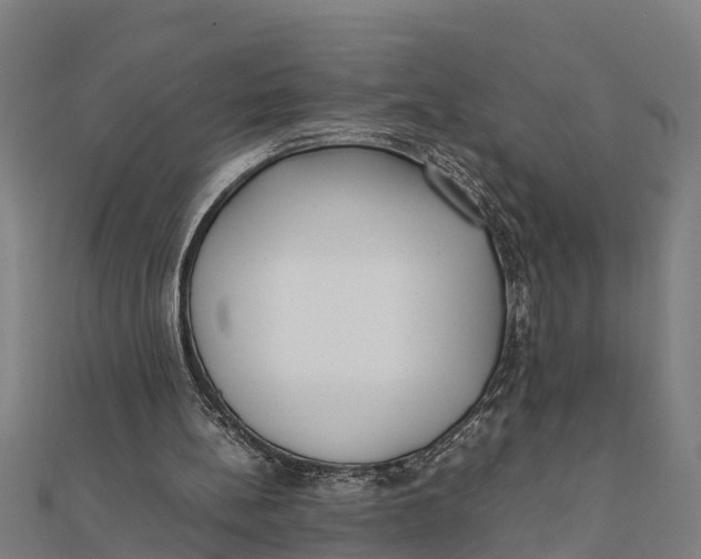 X0000111530148200908041311