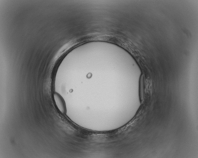 X0000111530150200908041311