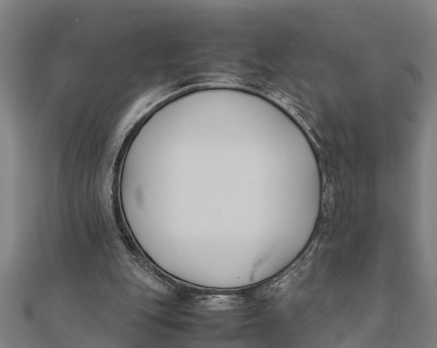 X0000111530151200908041311