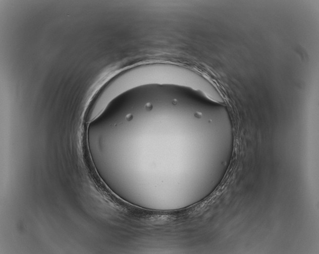 X0000111530152200908041311