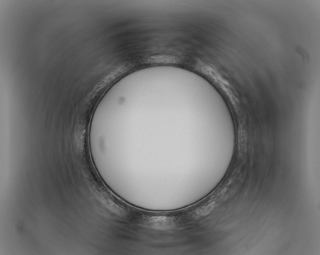 X0000111530153200908041311