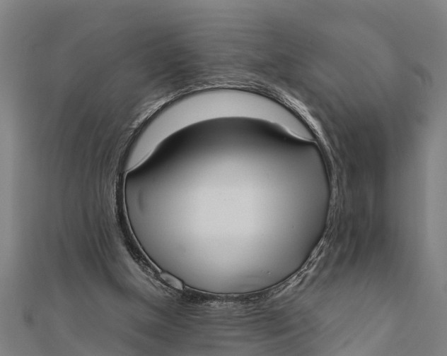 X0000111530154200908041311