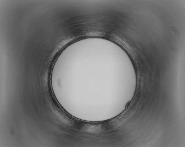 X0000111530155200908041311