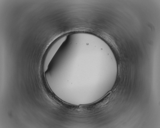 X0000111530156200908041311