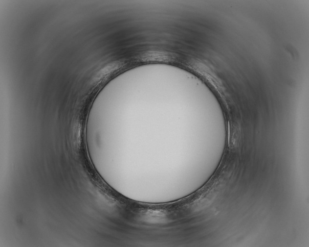 X0000111530157200908041312