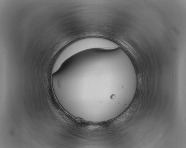 X0000111530158200908041312