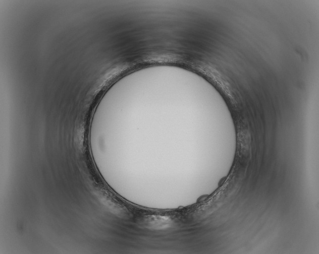 X0000111530159200908041312