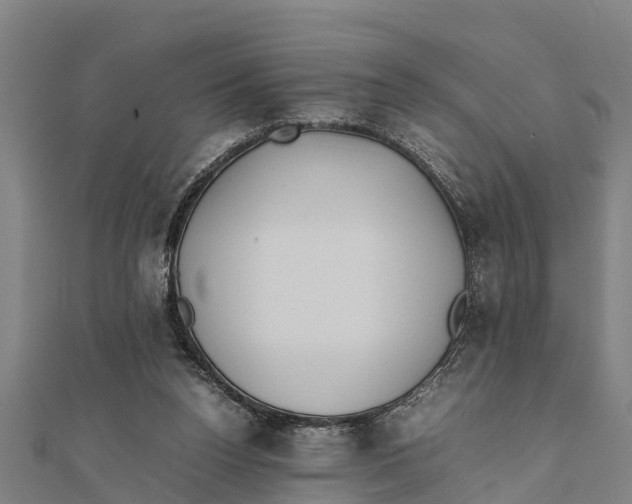 X0000111530160200908041312