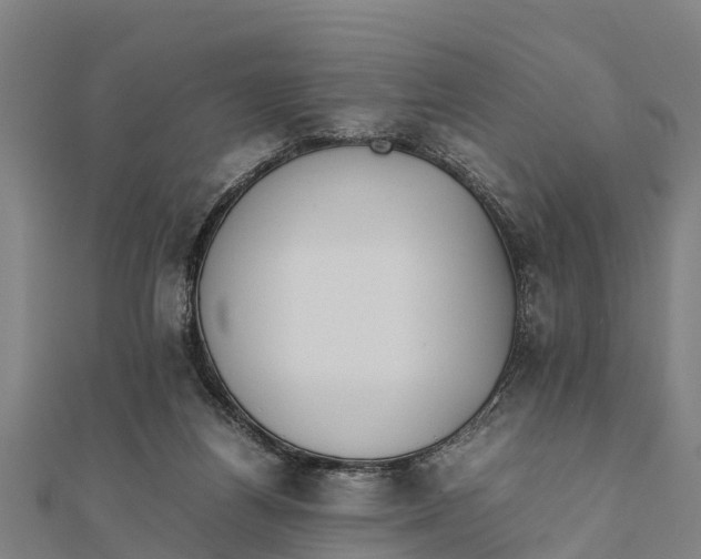 X0000111530164200908041312