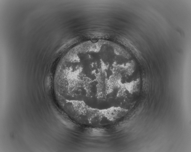 X0000111530165200908041312