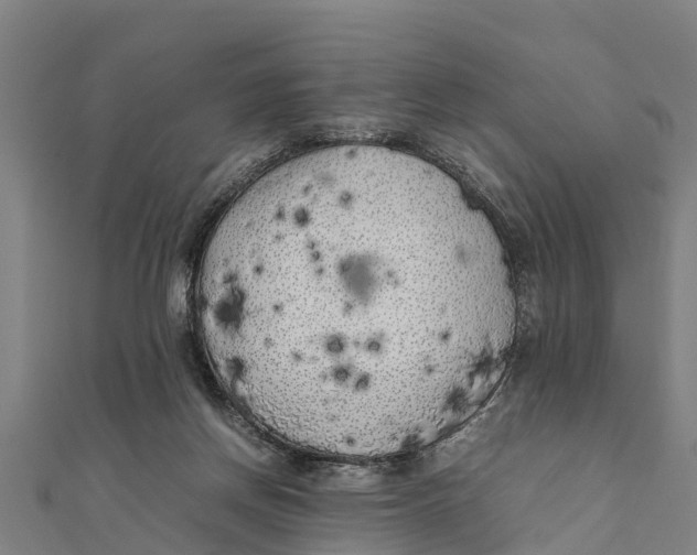 X0000111530166200908041312