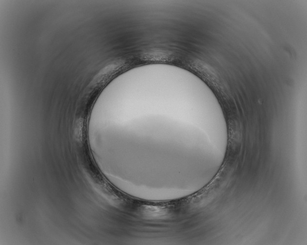 X0000111530167200908041312