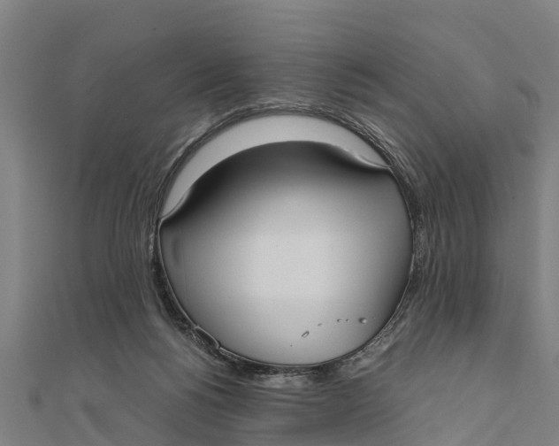 X0000111530168200908041312