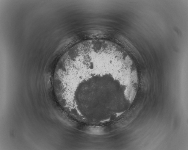 X0000111530169200908041312