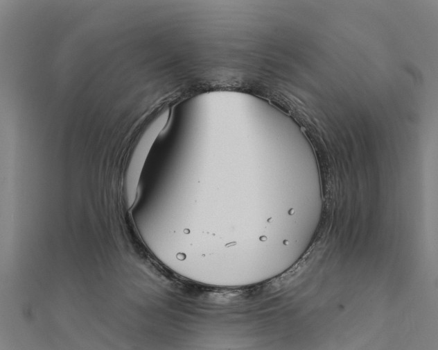 X0000111530172200908041312