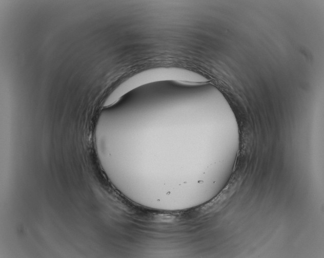 X0000111530176200908041312