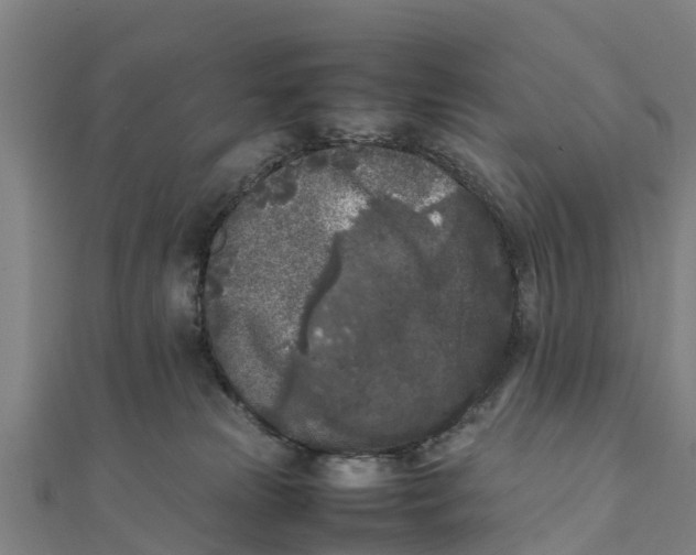 X0000111530181200908041312