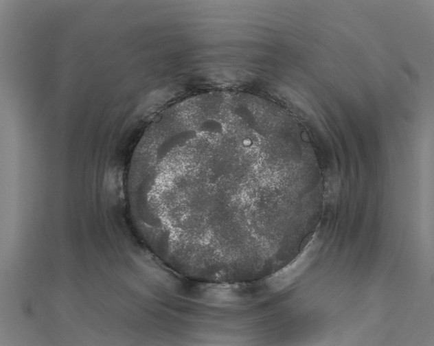 X0000111530182200908041312