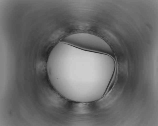 X0000111530184200908041312