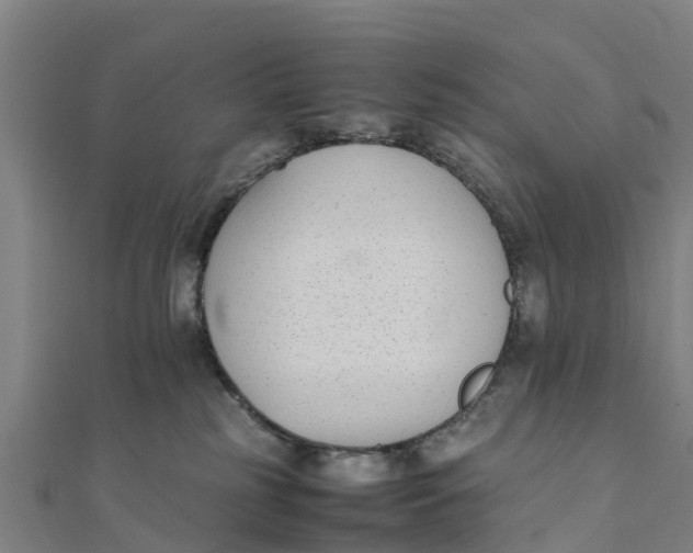 X0000111530185200908041312