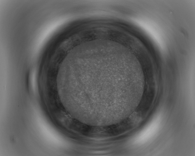 X0000111530189200908041312