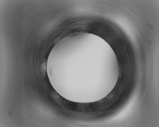 X0000111530190200908041312