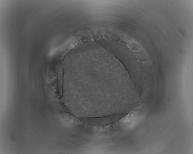 X0000111530192200908041312