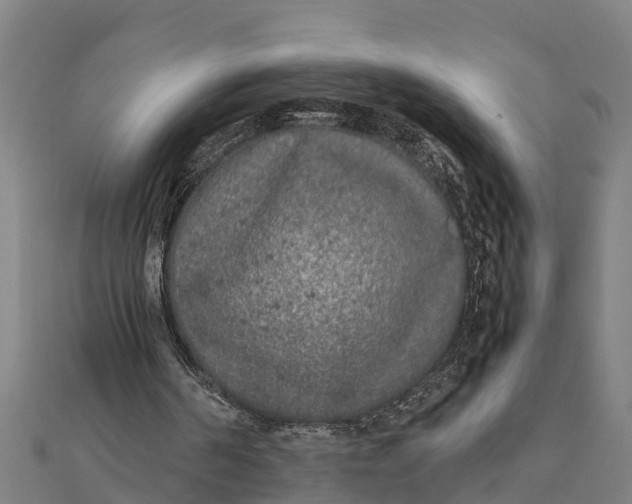 X0000111530194200908041311