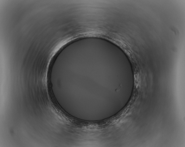 X0000111530196200908041311