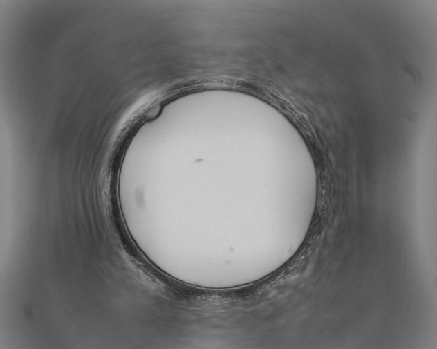 X0000111530197200908041311