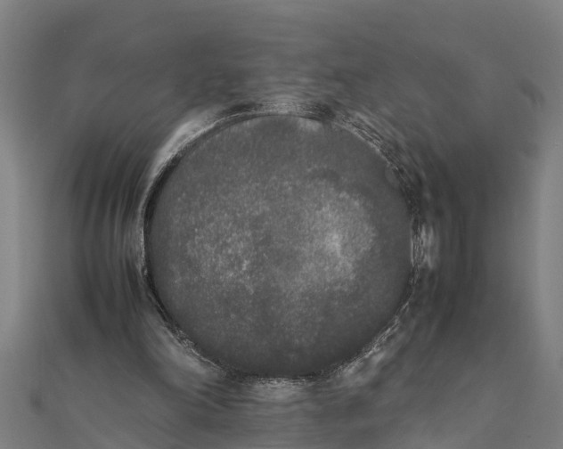 X0000111530198200908041311