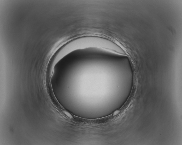 X0000111530199200908041311