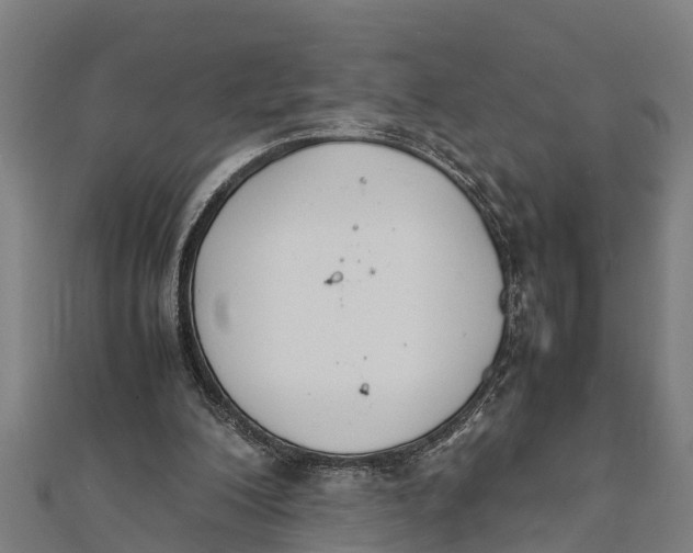 X0000111530200200908041311