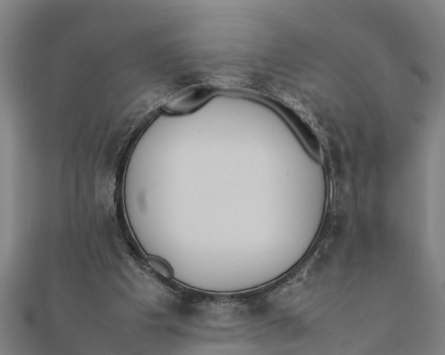 X0000111530201200908041311