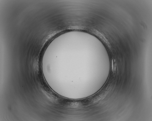 X0000111530204200908041311